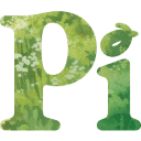 Pi logo