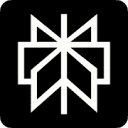 Perplexity logo